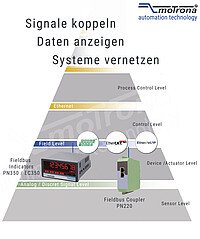 Feldbus-Netzwerk PN222_PN350_EC350