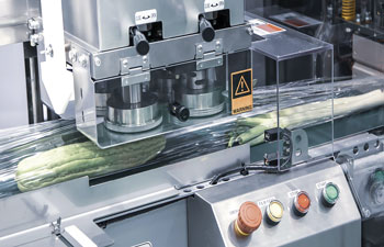 Schlauchbeutel_72dpi_350px